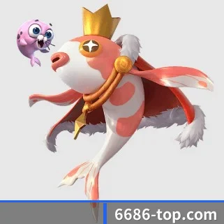 6686体育 APP