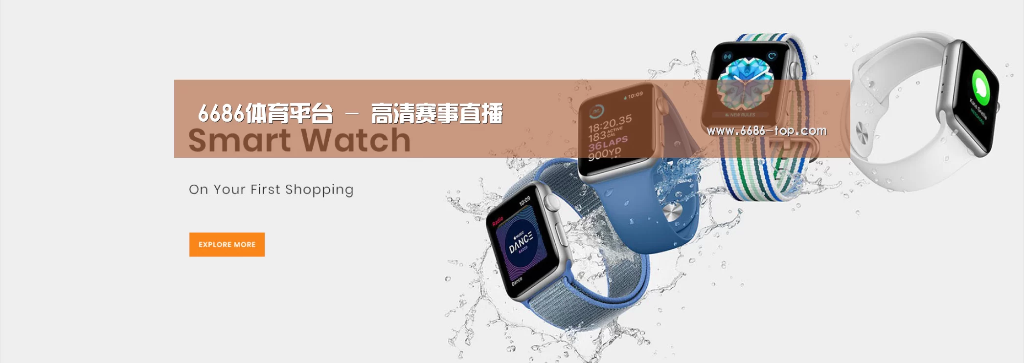 某某网络科技有限公司
