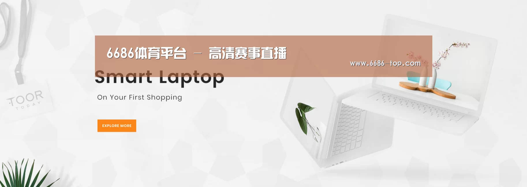 某某网络科技有限公司