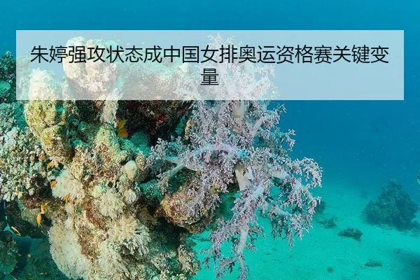 朱婷强攻状态成中国女排奥运资格赛关键变量