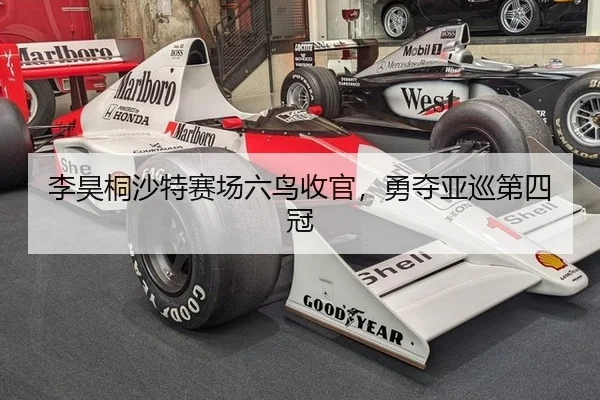 li-hao-tong-sha-te-sai-chang-liu-niao-shou-guan-yong-duo-ya-xun-di-si-guan-2-300.jpg